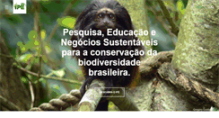 Desktop Screenshot of ipe.org.br